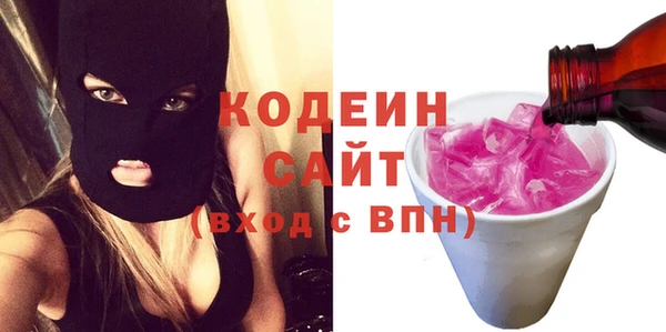 хмурый Арсеньев