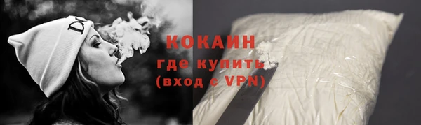 хмурый Арсеньев