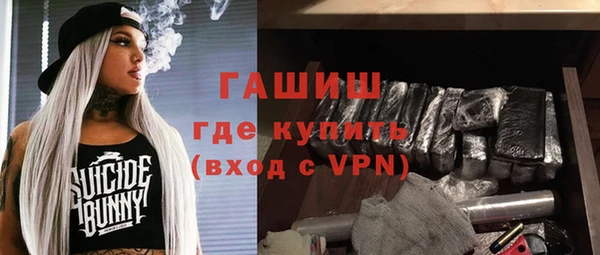 хмурый Арсеньев