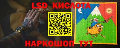 стафф Волгодонск