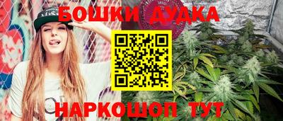 стафф Волгодонск