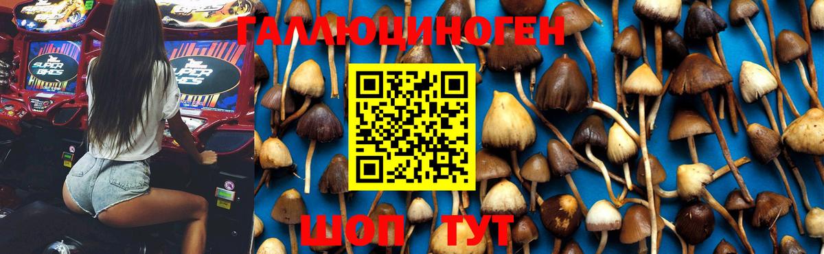 Набережные Челны  Галлюциногенные грибы GOLDEN TEACHER  Вход с VPN 